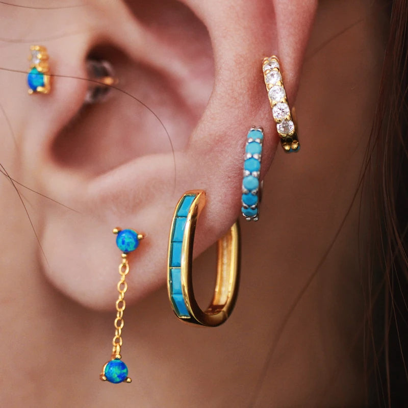 Hoop Earrings